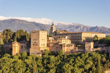 Private guided tour of the Alhambra